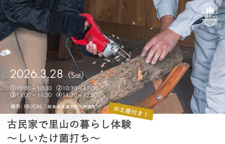 IBUCAL ツバキラボ しいたけ菌打ち 伊深 美濃加茂