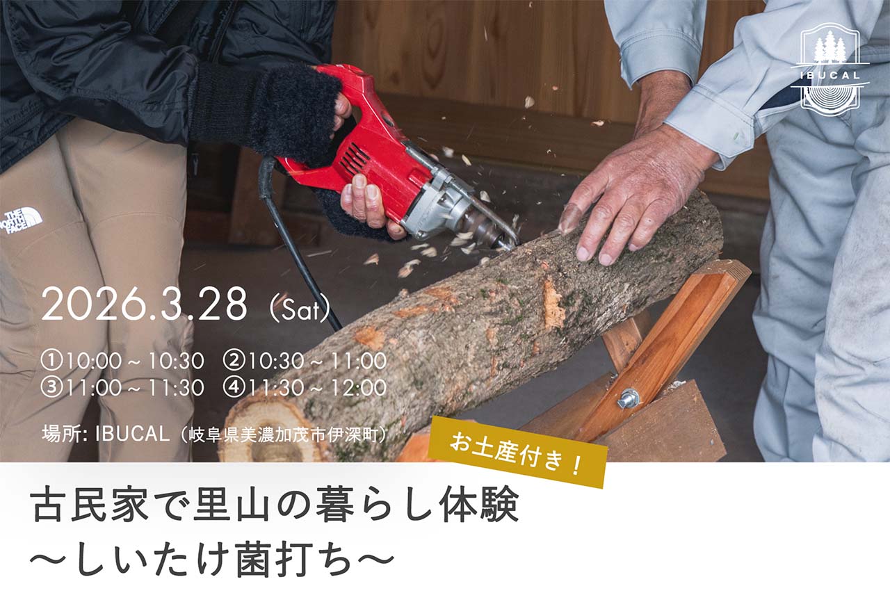 IBUCAL ツバキラボ しいたけ菌打ち 伊深 美濃加茂