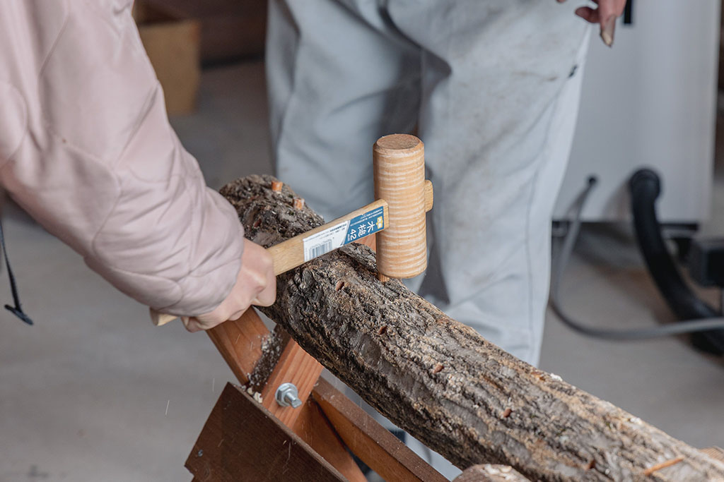 IBUCAL ツバキラボ しいたけ菌打ち 伊深 美濃加茂