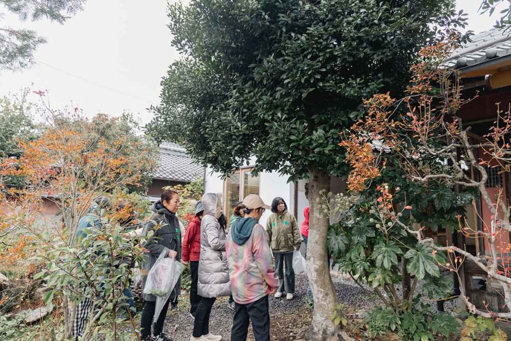 半谷美野子さん 和ハーブ 野草 IBUCAL