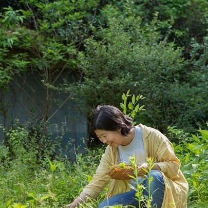 半谷美野子さん 和ハーブ 野草 IBUCAL