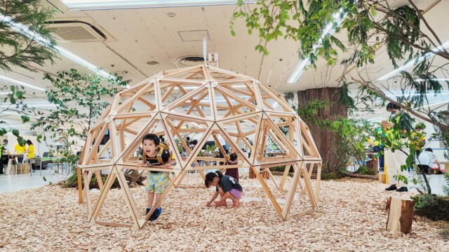 木育イベント WOOD GO! 岐阜タカシマヤ 高島屋 ツバキラボ