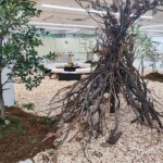 木育イベント WOOD GO! 2023 岐阜タカシマヤ 高島屋 ツバキラボ グラッスル35