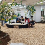 木育イベント WOOD GO! 2023 岐阜タカシマヤ 高島屋 ツバキラボ グラッスル35